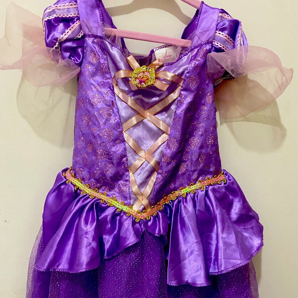 Disney Princess Dress - Tangled